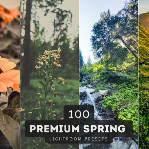 100 Spring Lightroom Presets Bundlecover image.