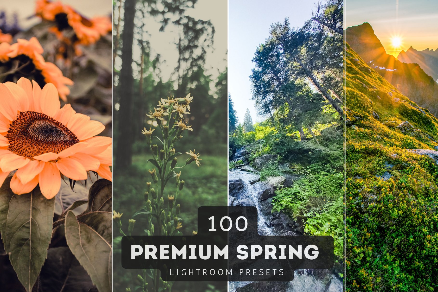 100 Spring Lightroom Presets Bundlecover image.