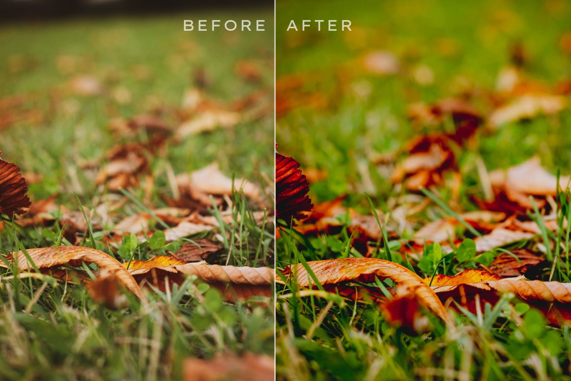 Autumn Lightroom Presets Bundle V1preview image.