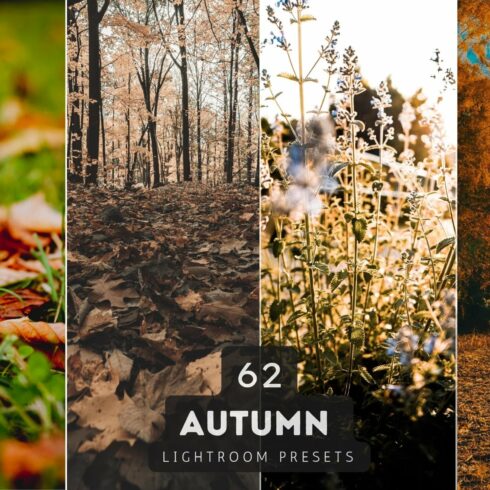 Autumn Lightroom Presets Bundle V1cover image.