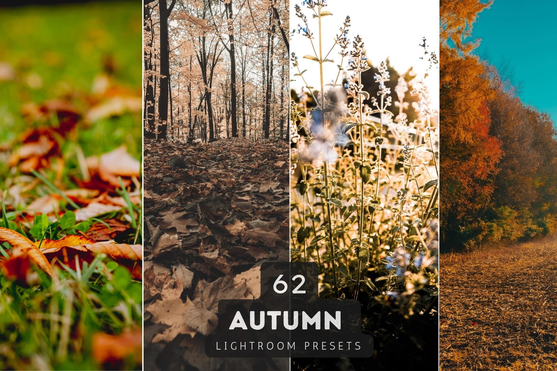 Autumn Lightroom Presets Bundle V1cover image.