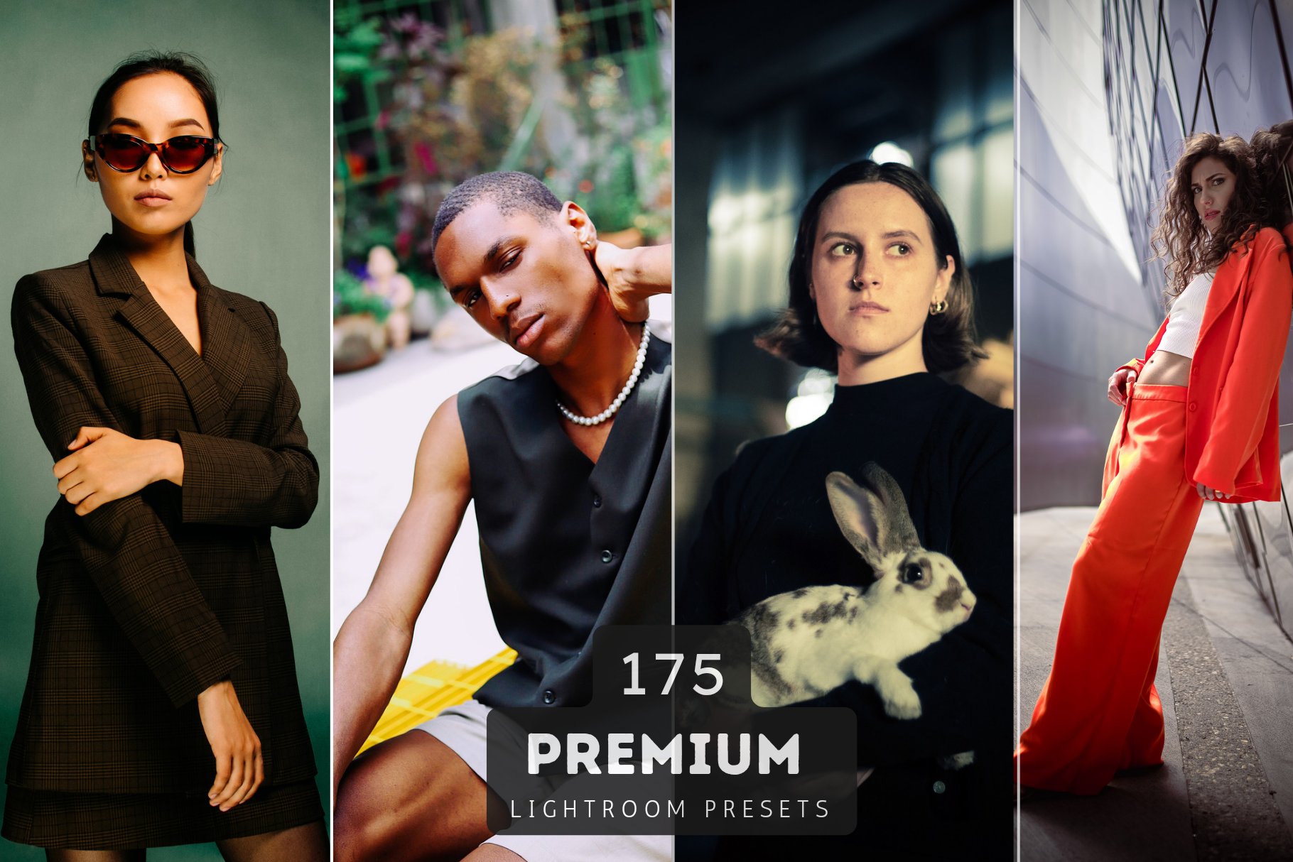 175 Premium Lightroom Presets Bundlecover image.