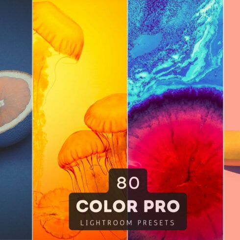 Color Pro Lightroom Presets Bundlecover image.