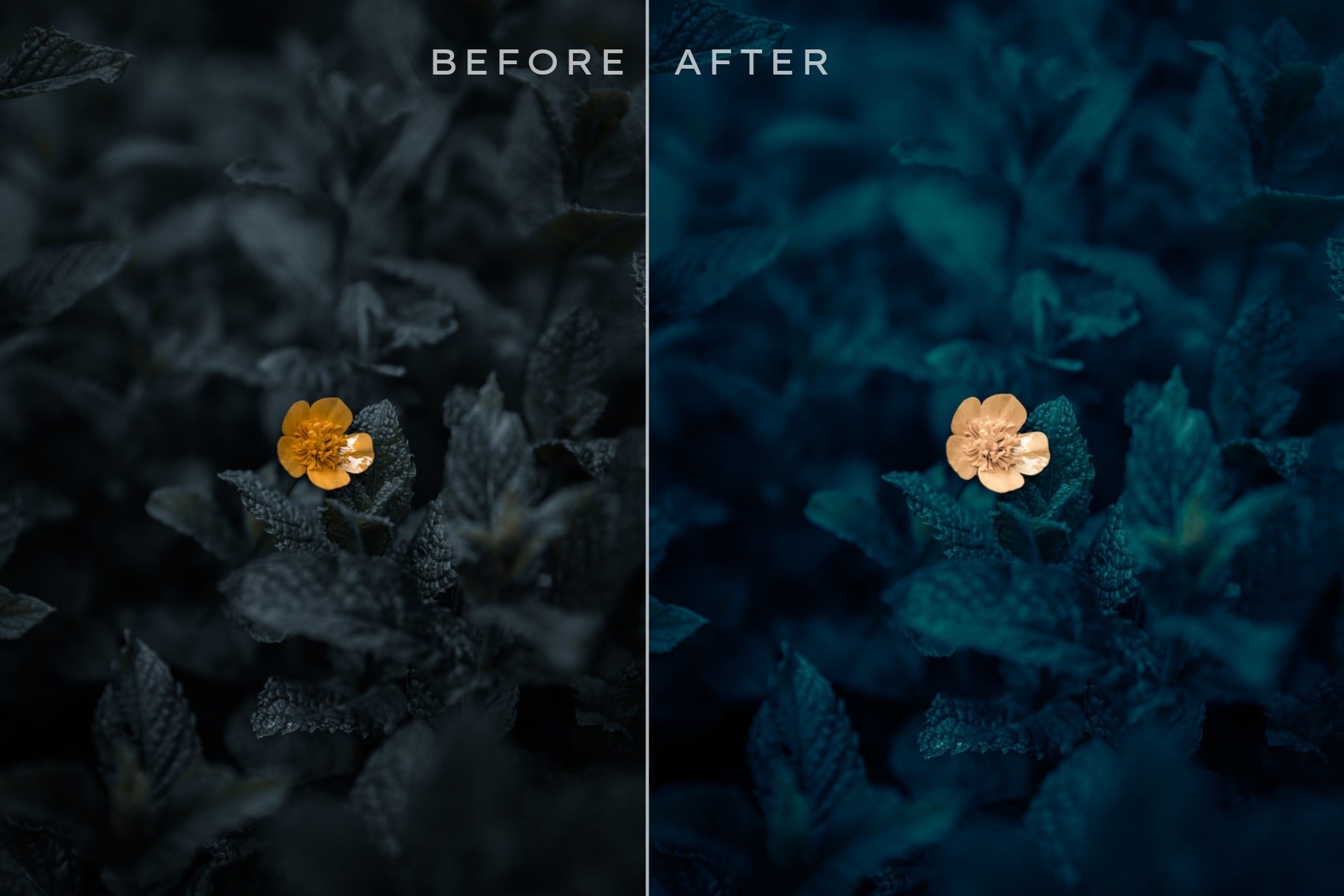 100 Contrast Adjust Lightroom Presetpreview image.