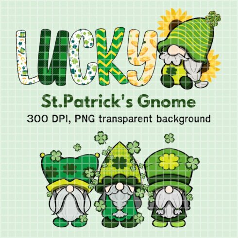 StPatrick\'s Gnome - 300 DPI - PNG transparent background cover image.