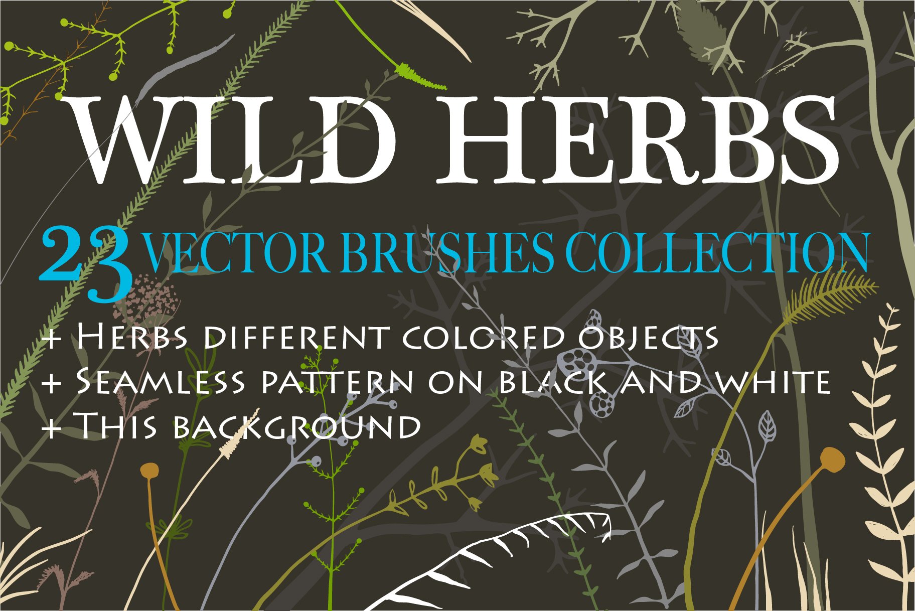 Wild Grass & Herbs vector Brushescover image.
