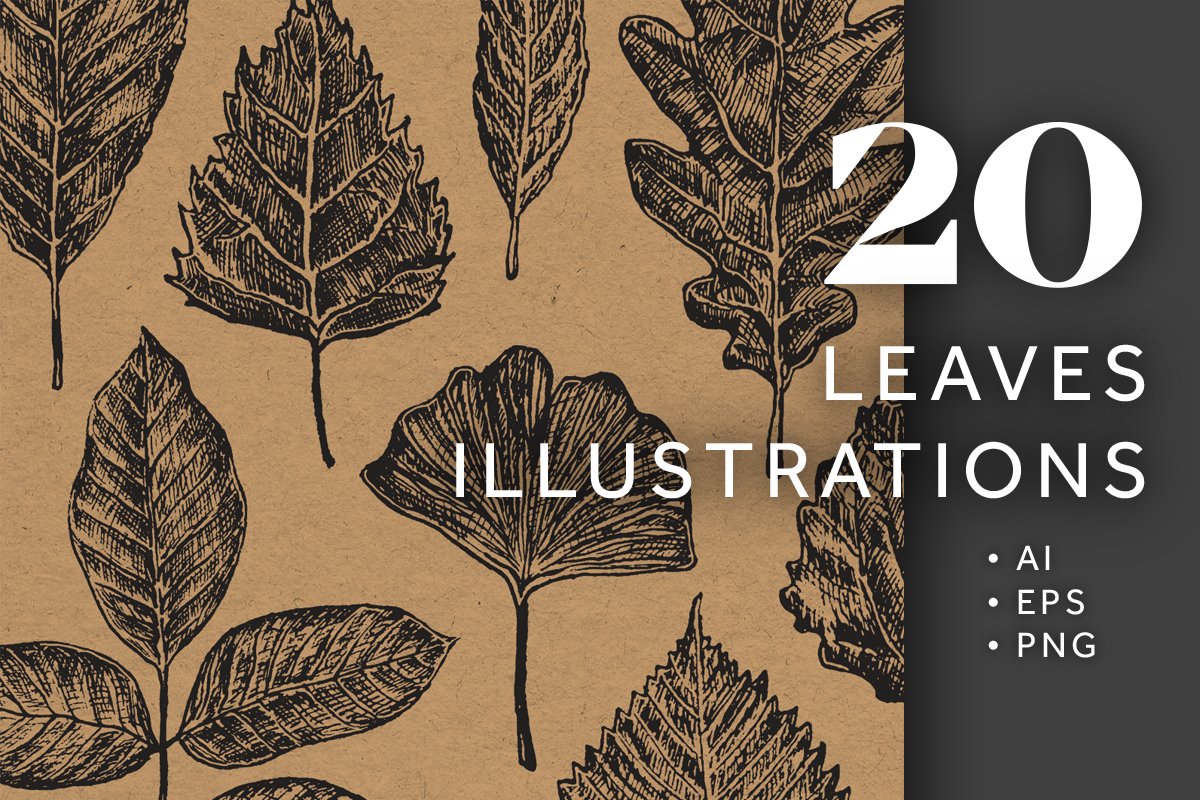 20 Leaves Illustrations cover image.
