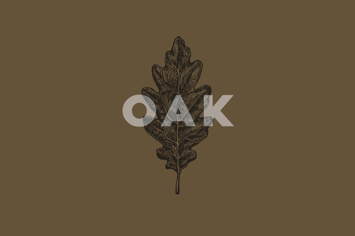 Oak leaves on a brown background.