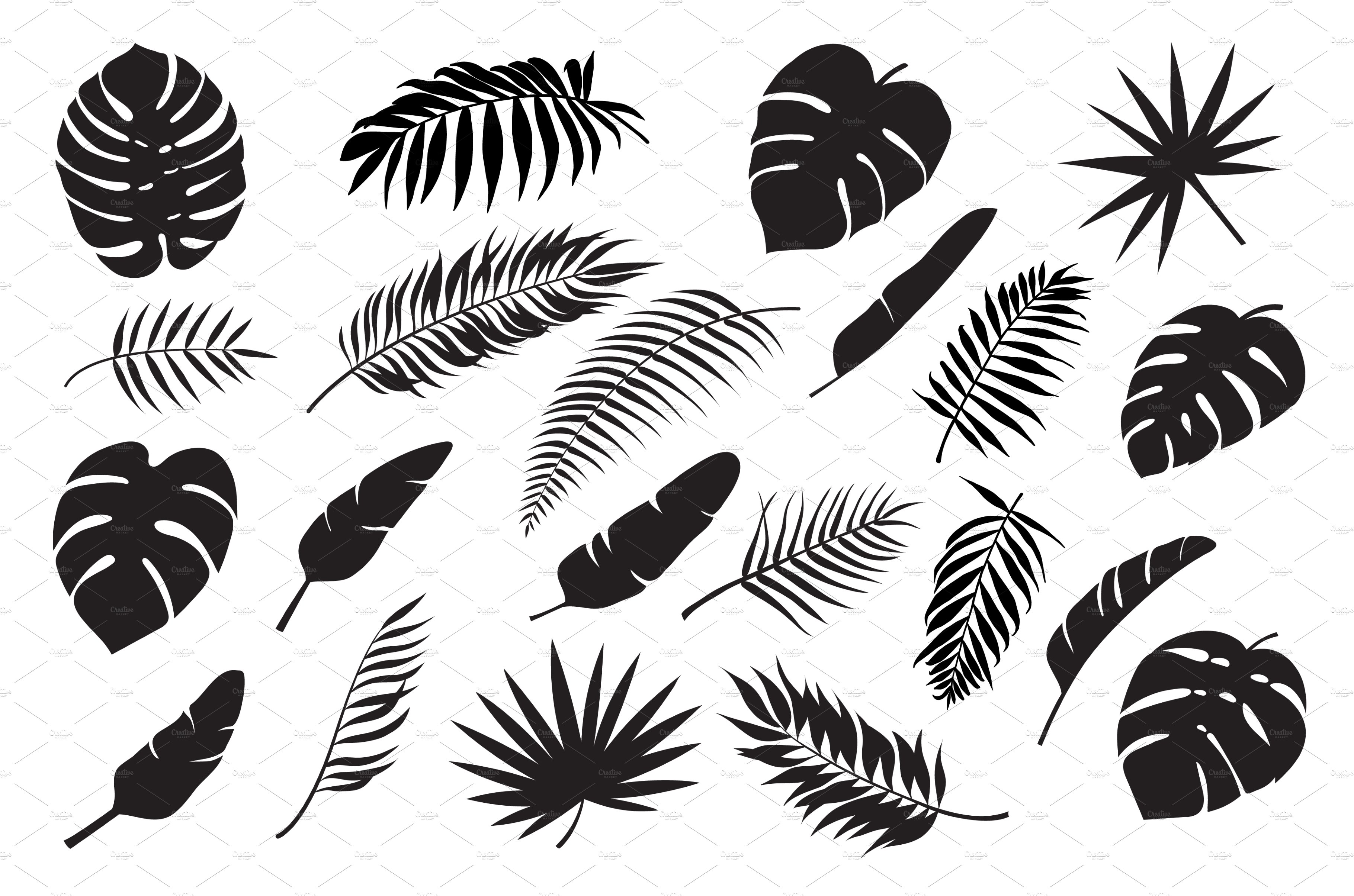 Collection of black and white tropical leaves.