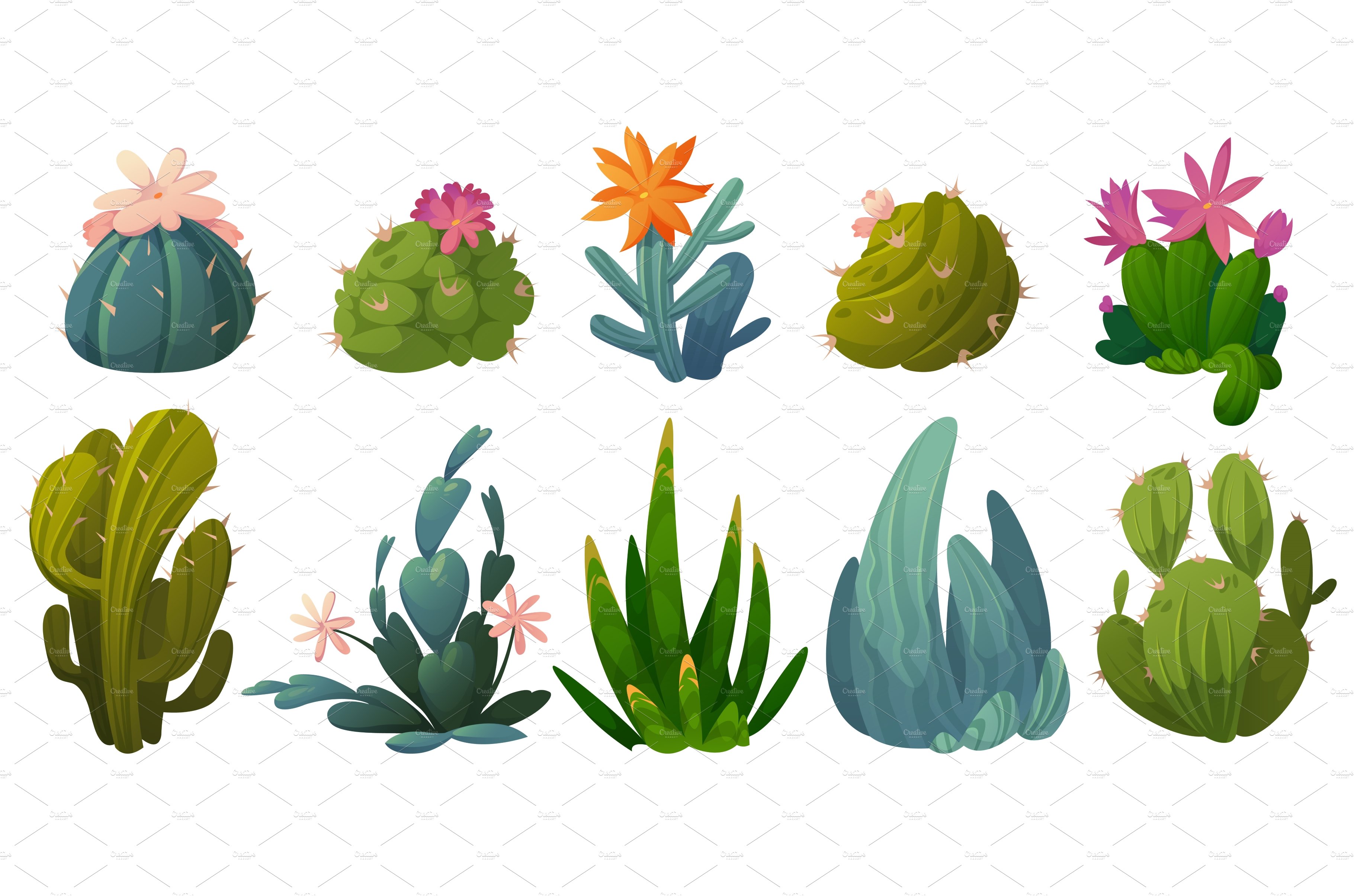 Collection of cactus plants.
