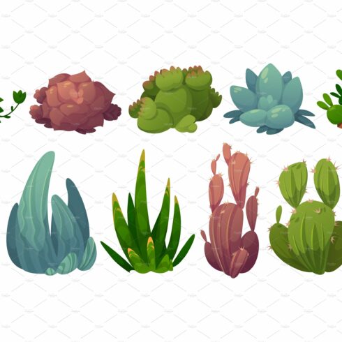 Collection of different types of plants.