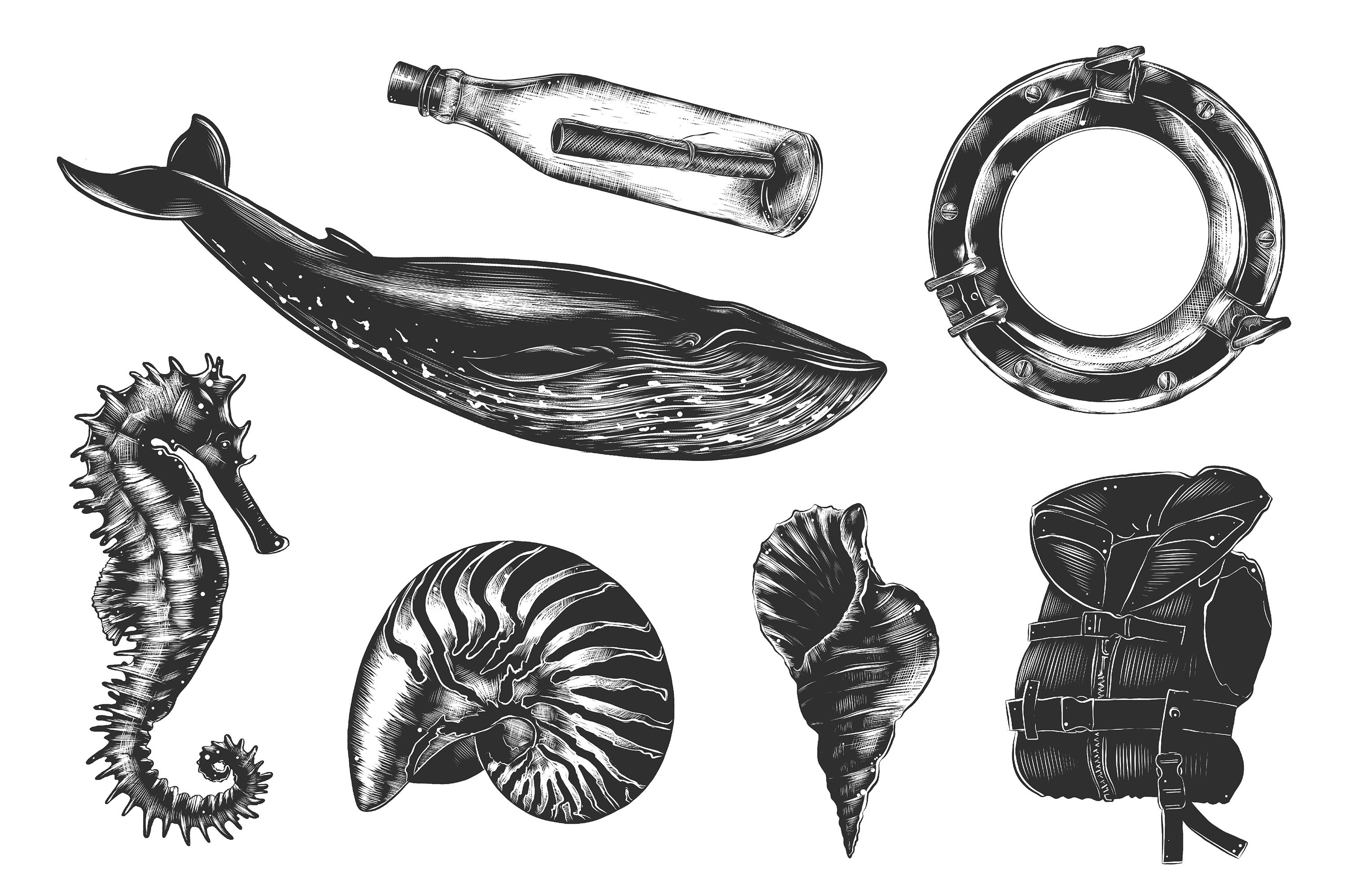 Black and white drawing of marine life.