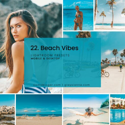 22. Beach Vibes Presetscover image.