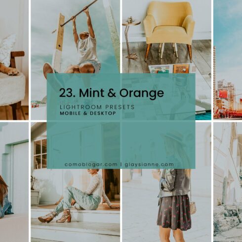 23. Mint & Orangecover image.