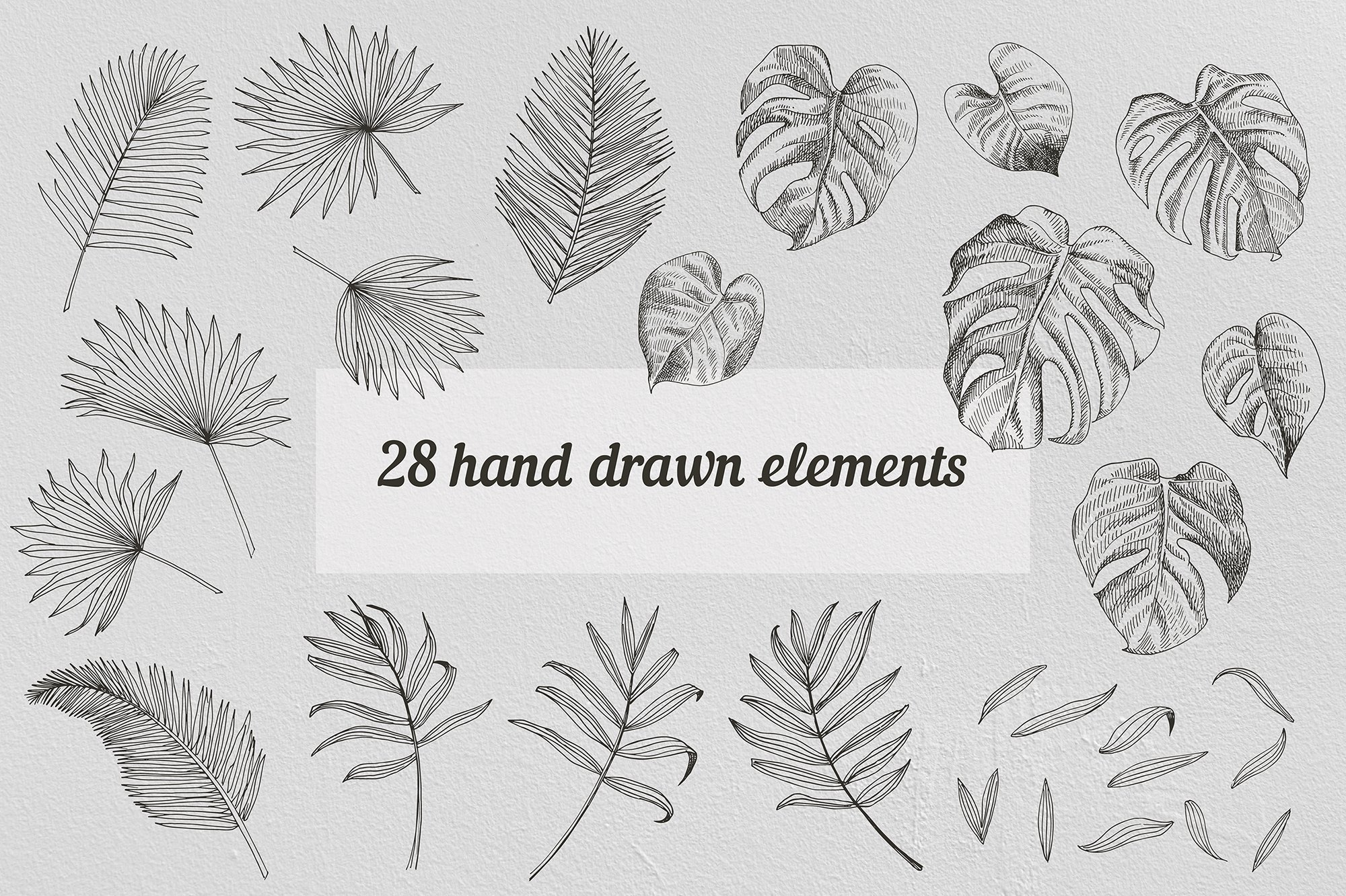 Collection of hand drawn leaves.