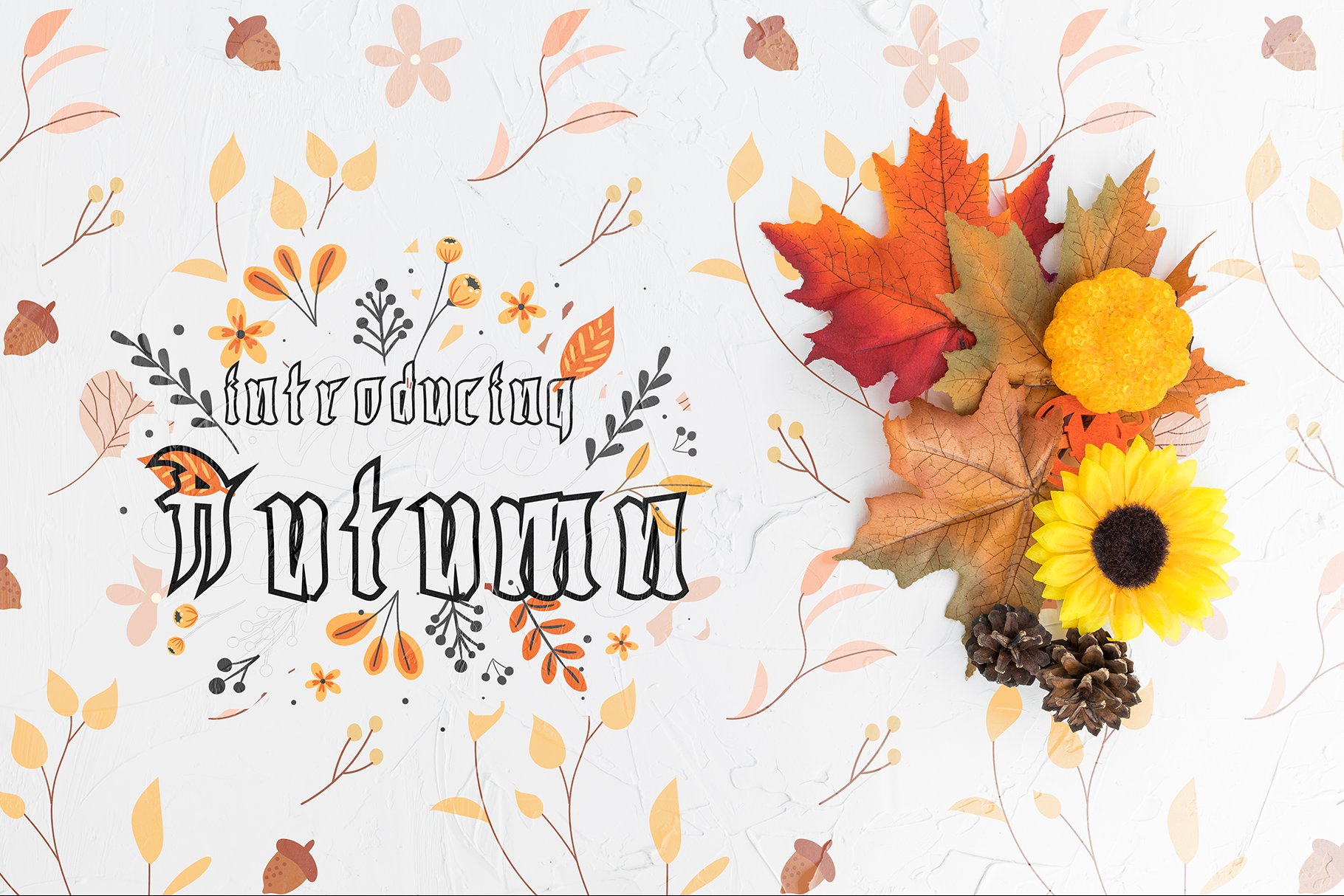 Autumn | Fall cover image.