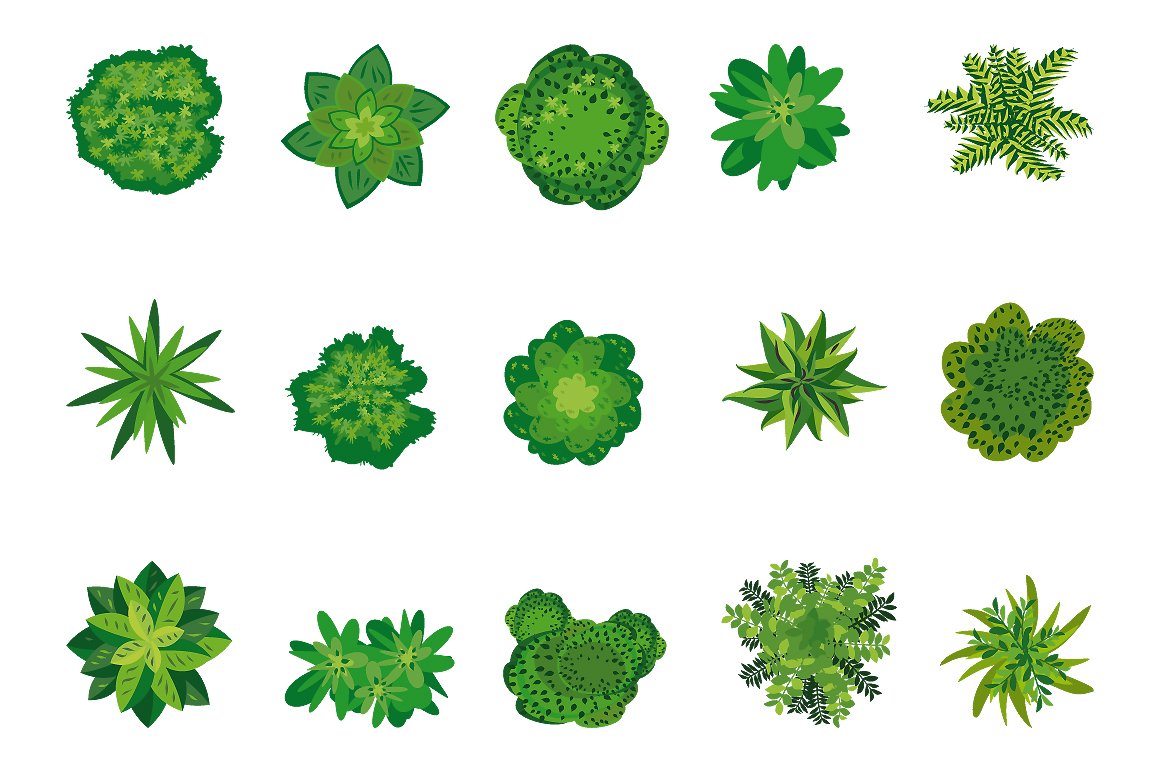 Collection of top down view of green plants.