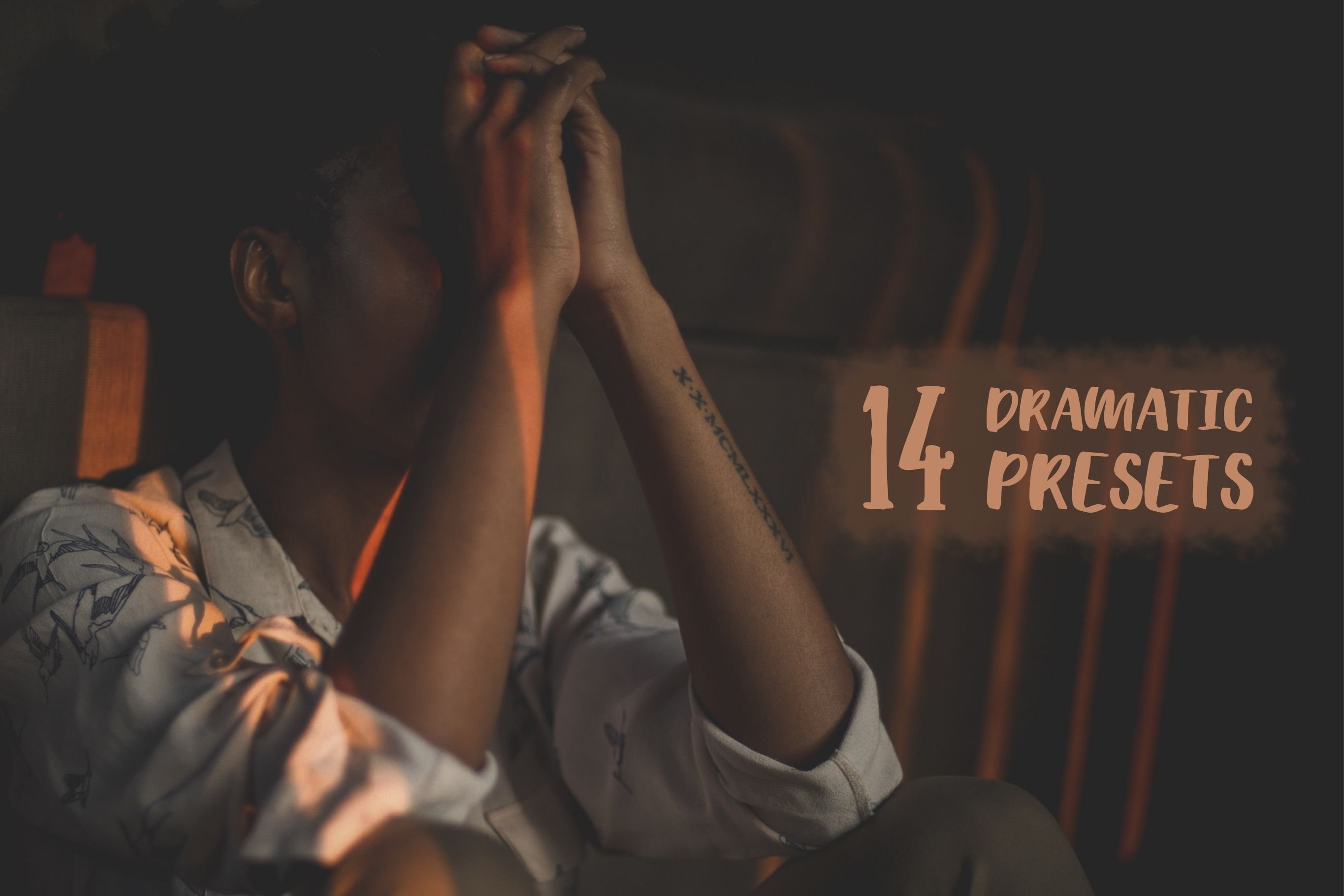 14 Dramatic Lightroom Presets V4cover image.