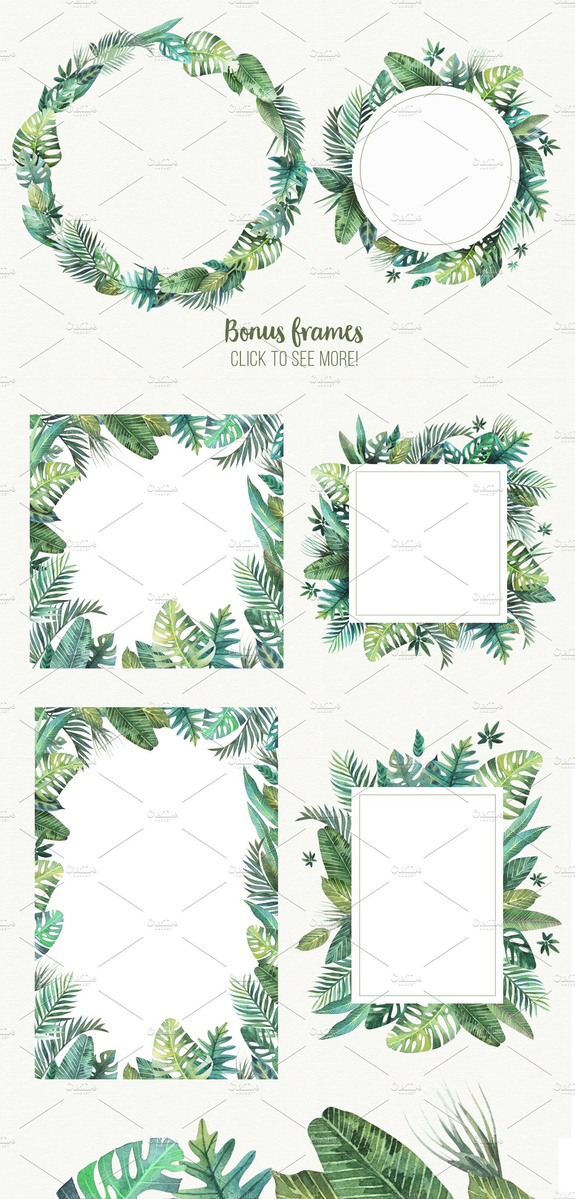 Set of tropical leaves and frames.