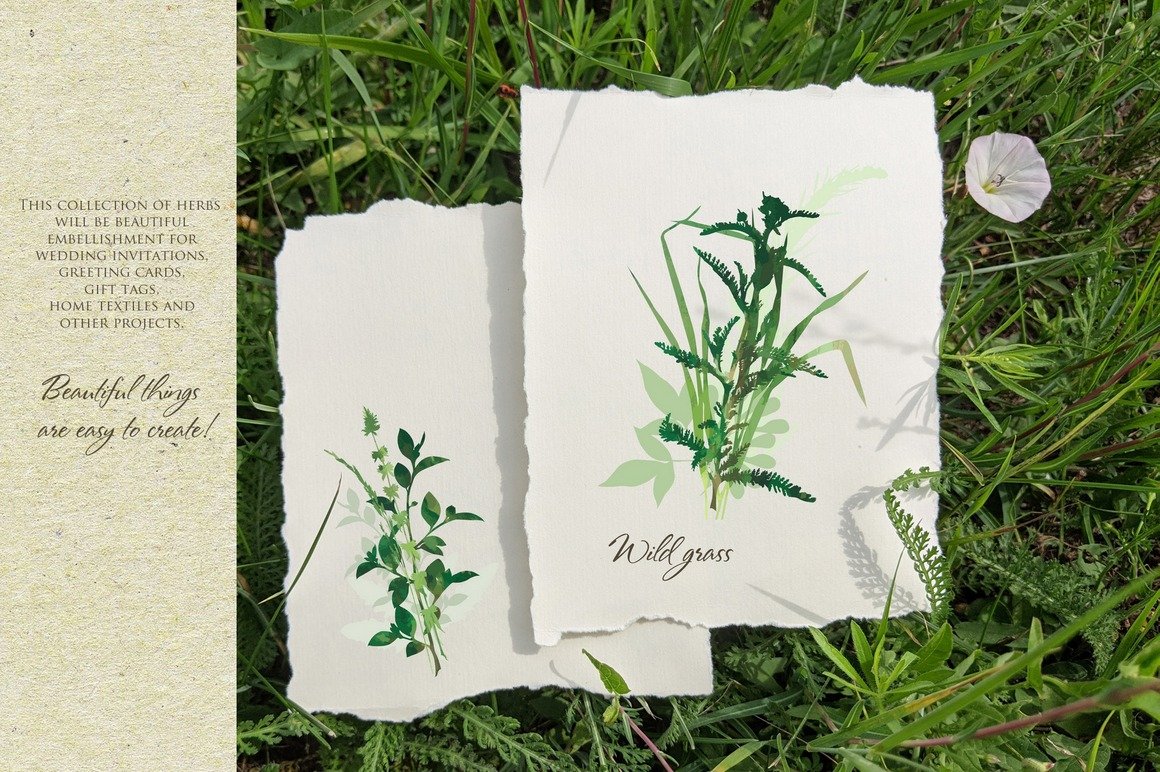 Couple of pieces of paper sitting on top of a lush green field.