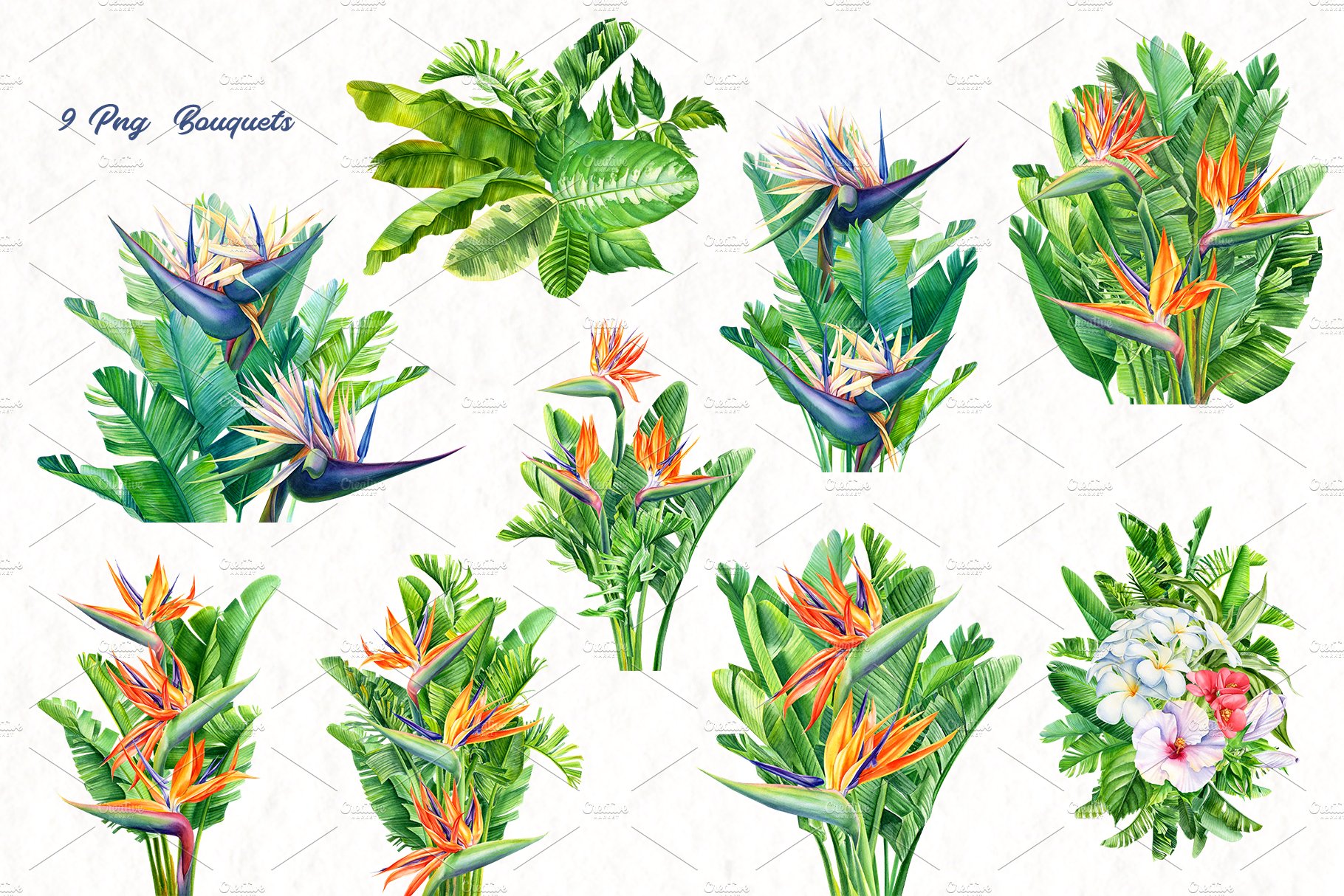 Bunch of tropical plants and flowers on a white background.