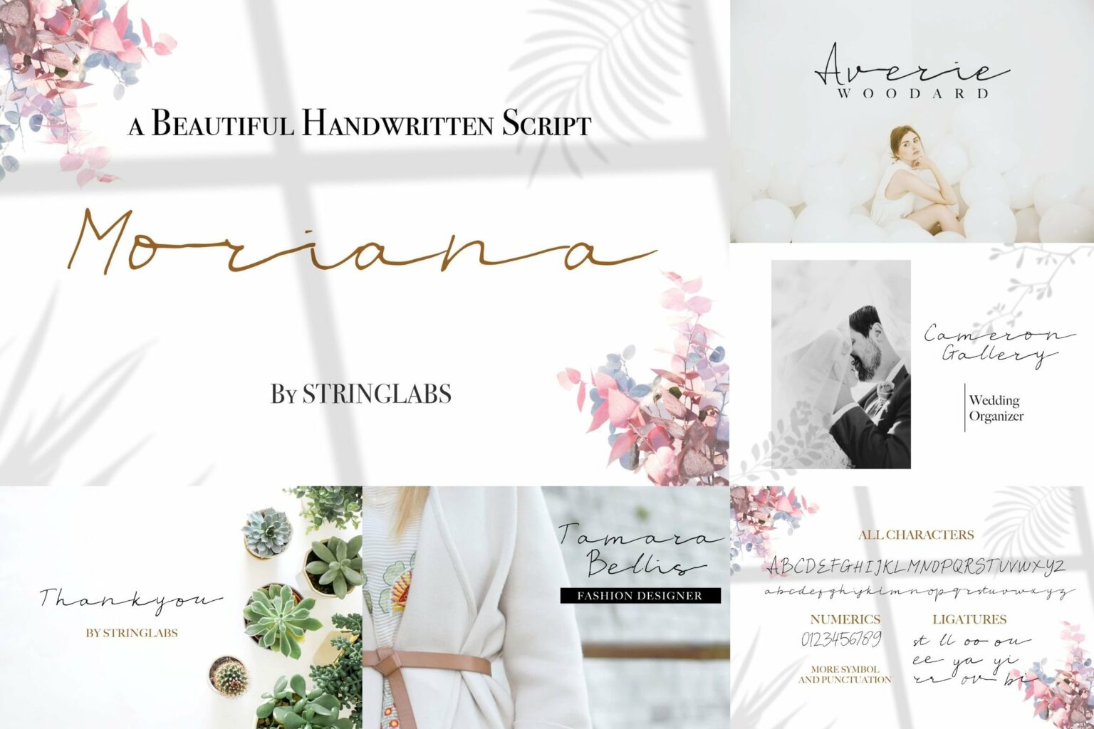 Signature Font Bundle Vol 2 – MasterBundles