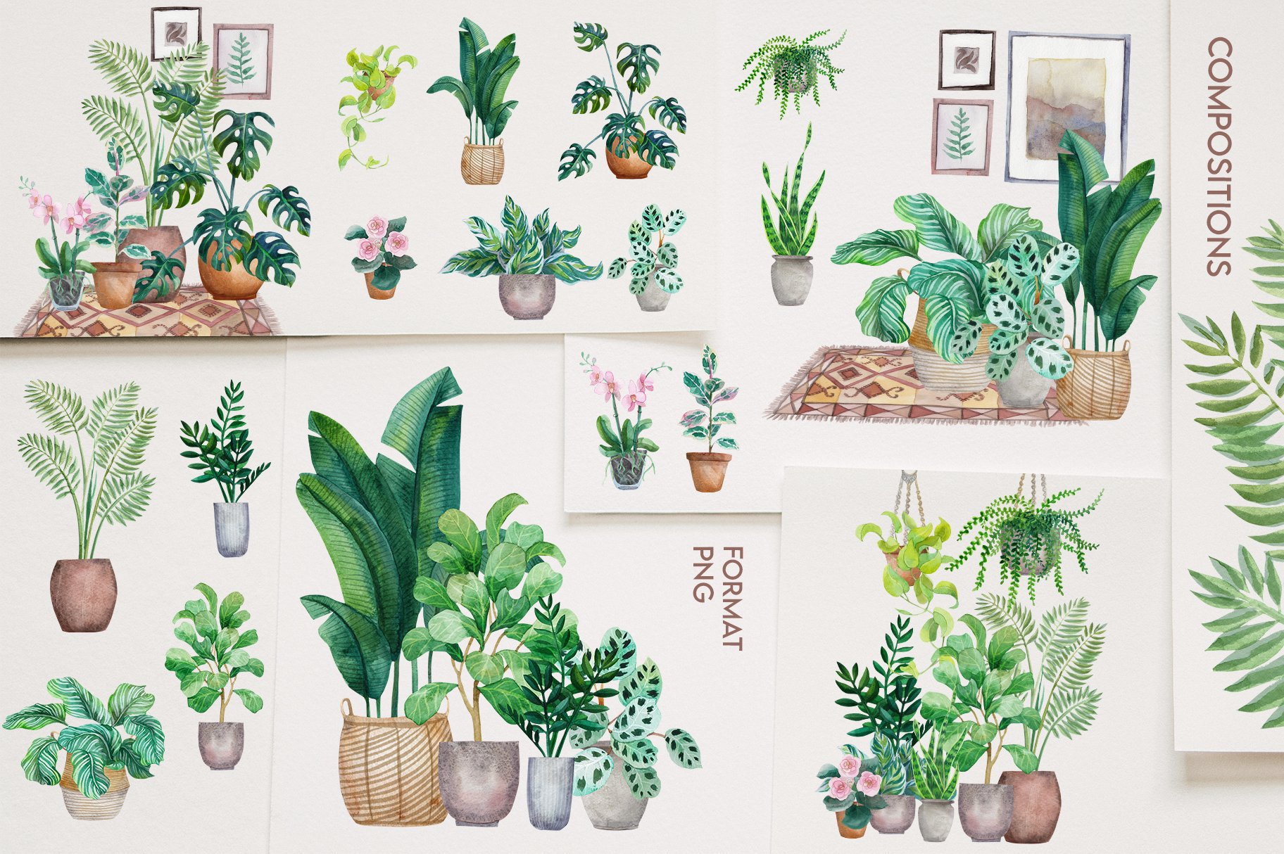 Bunch of potted plants on a wall.