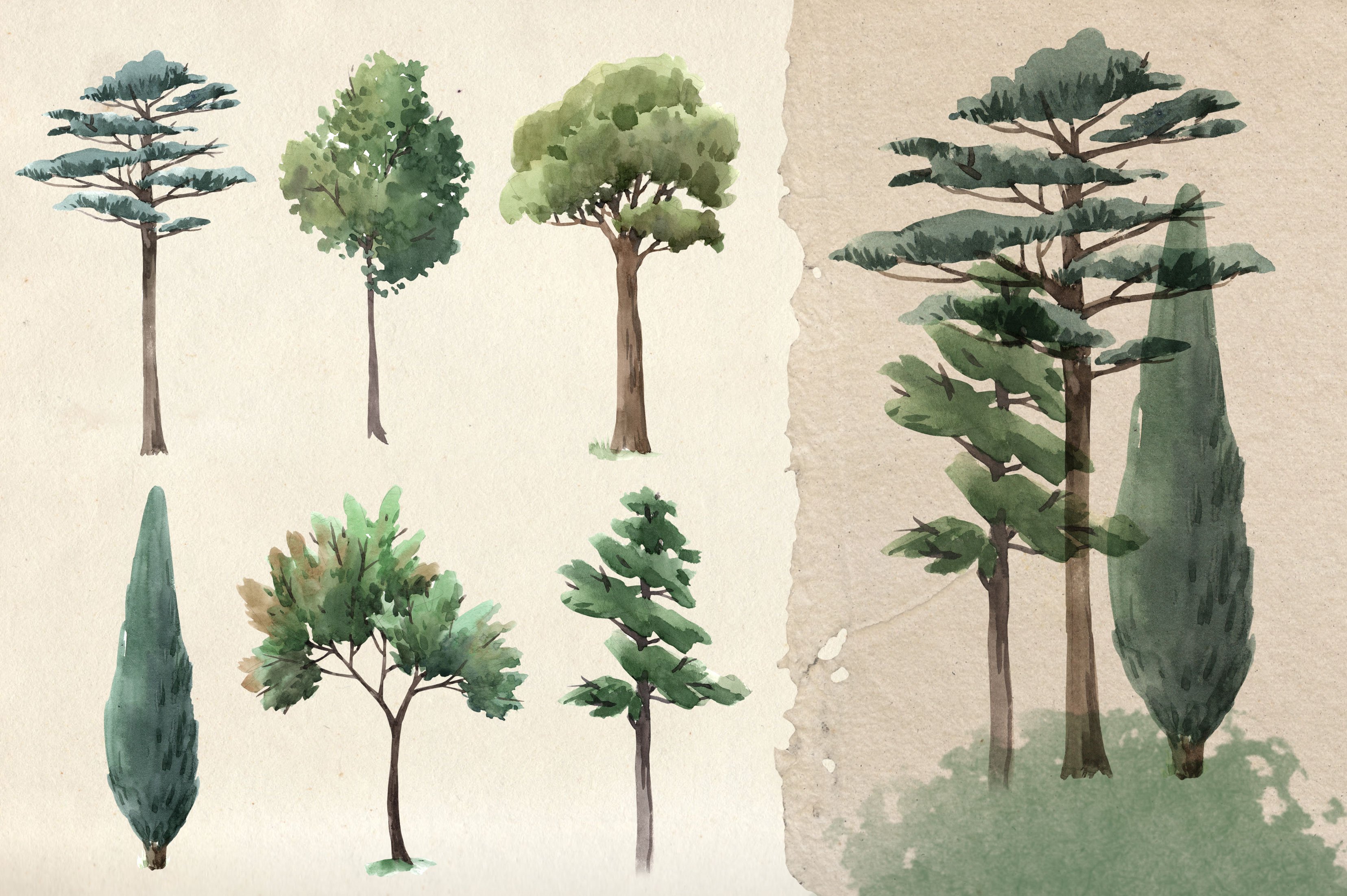 Painting of a variety of trees on a piece of paper.