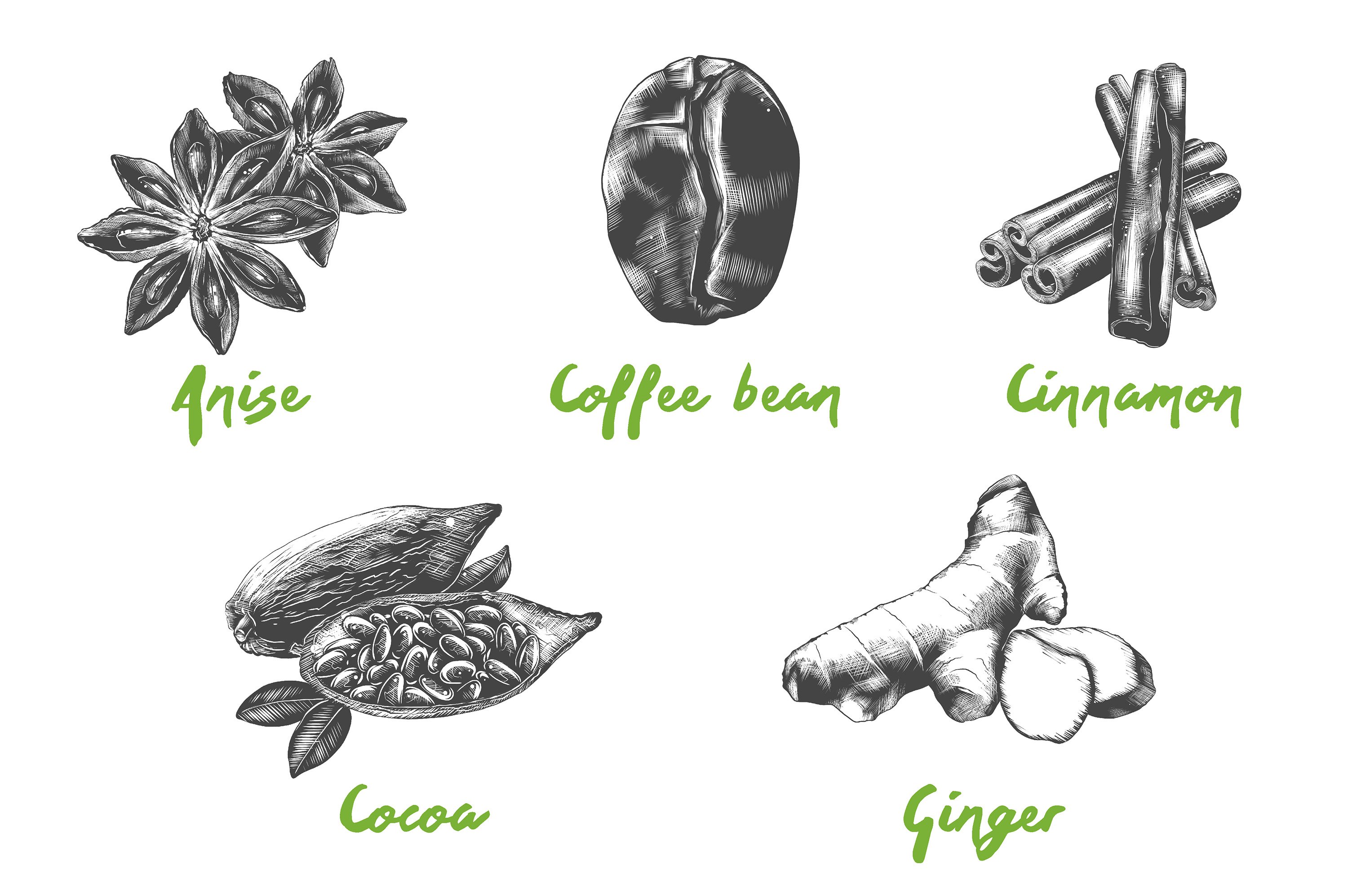 Drawing of different types of coffee beans.