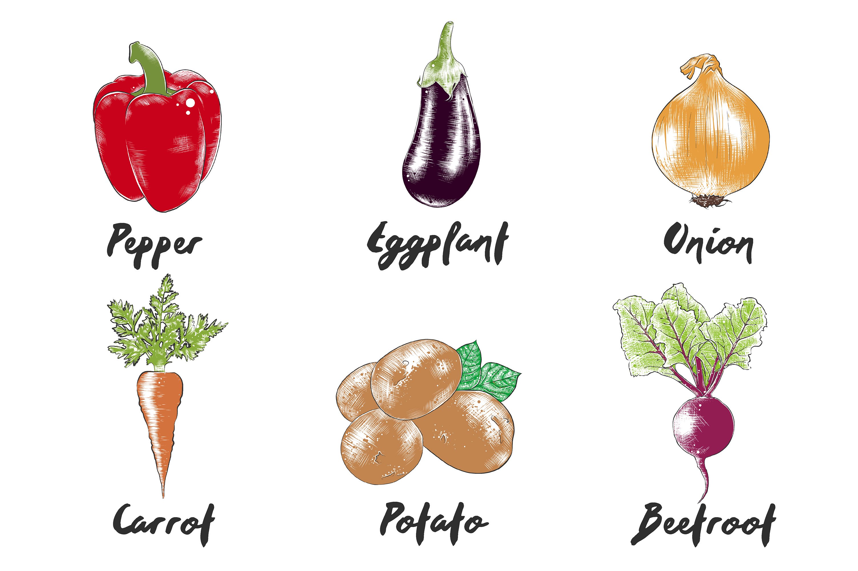 A bunch of vegetables that are labeled in different languages.