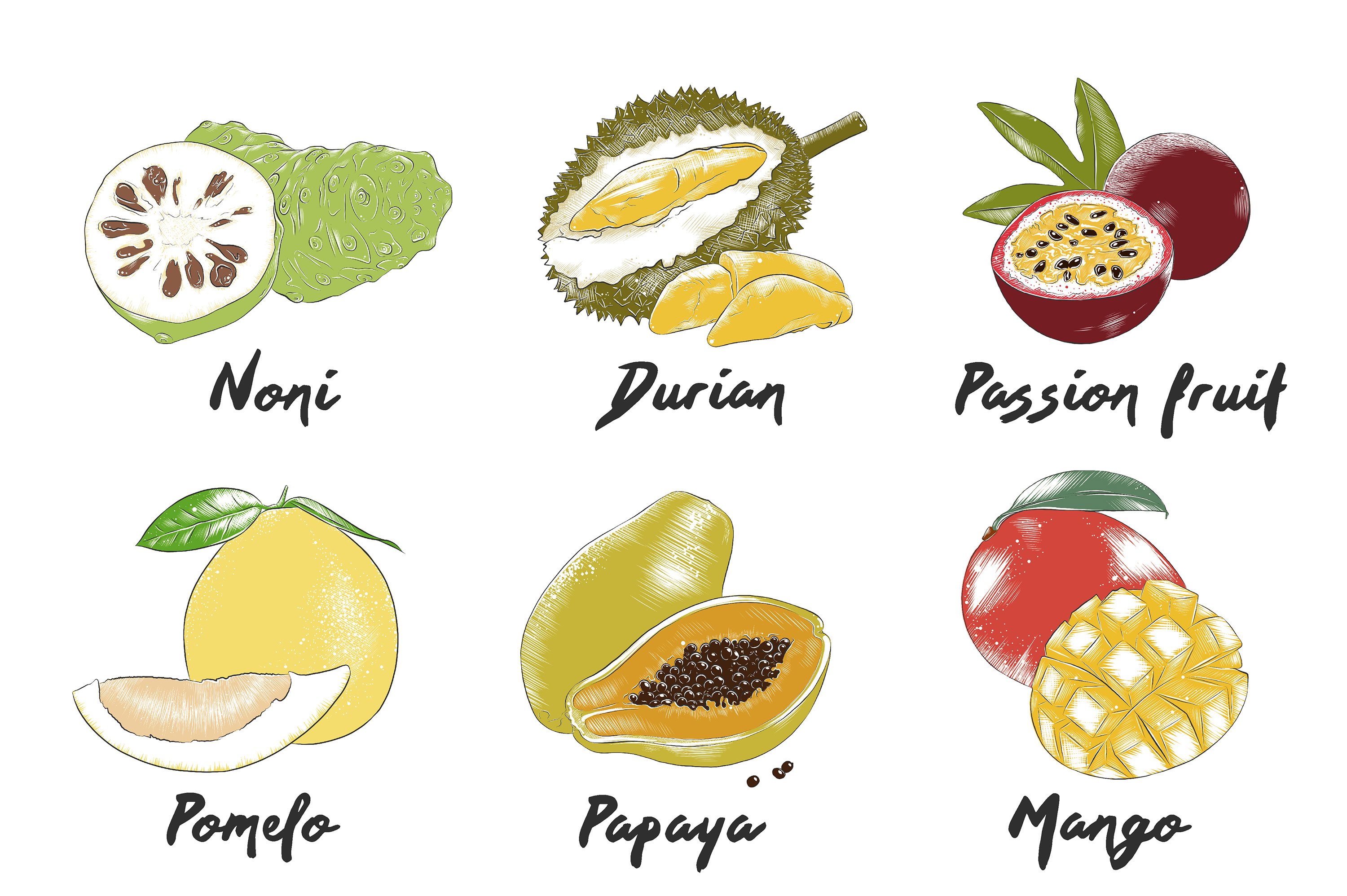 A bunch of different types of fruit on a white background.