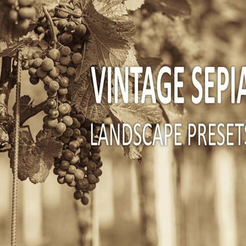 15 Vintage Sepia Landscape Presetscover image.