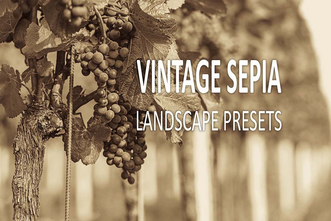 15 Vintage Sepia Landscape Presetscover image.