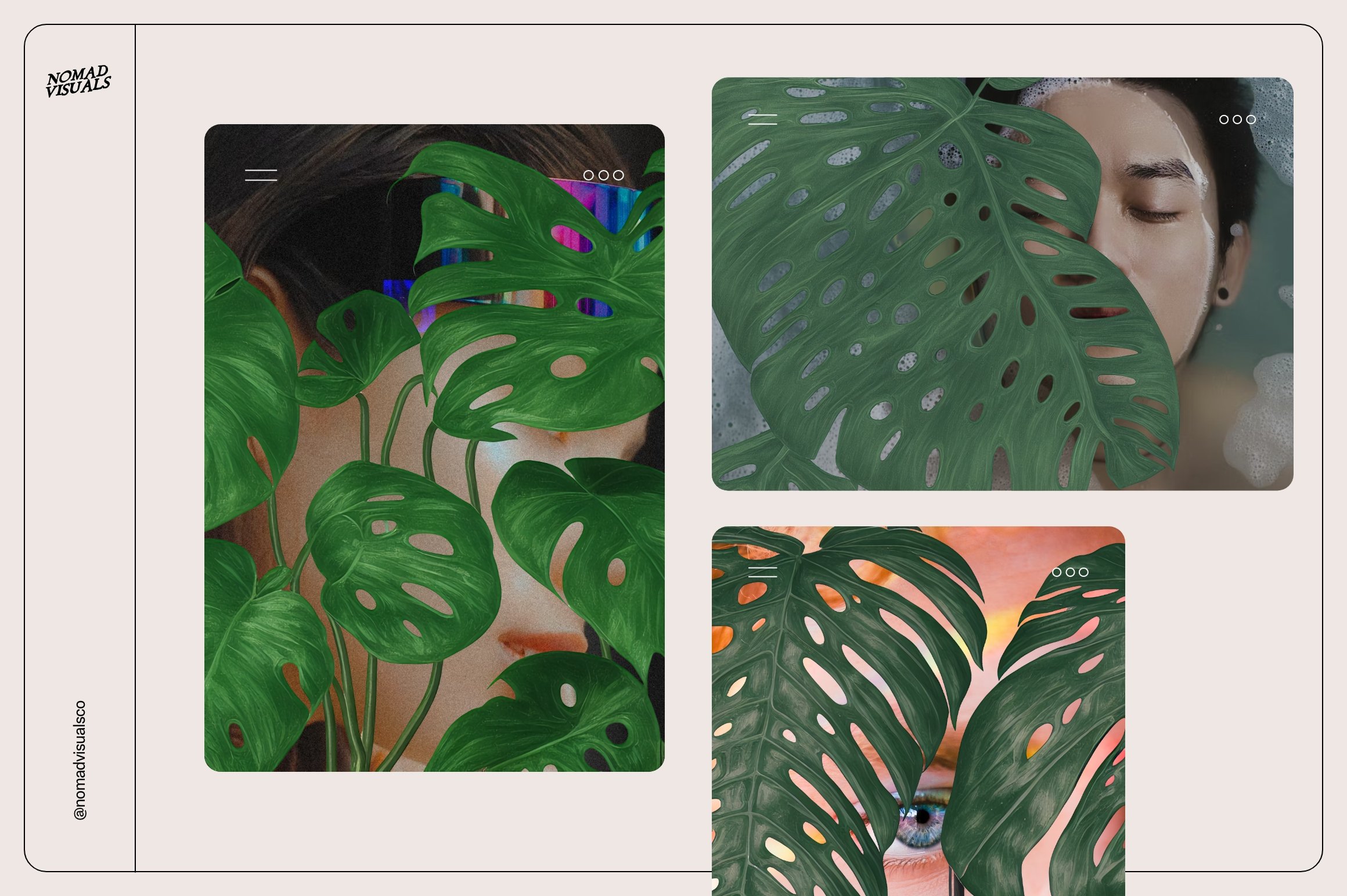 Collage of photos of a woman and a plant.