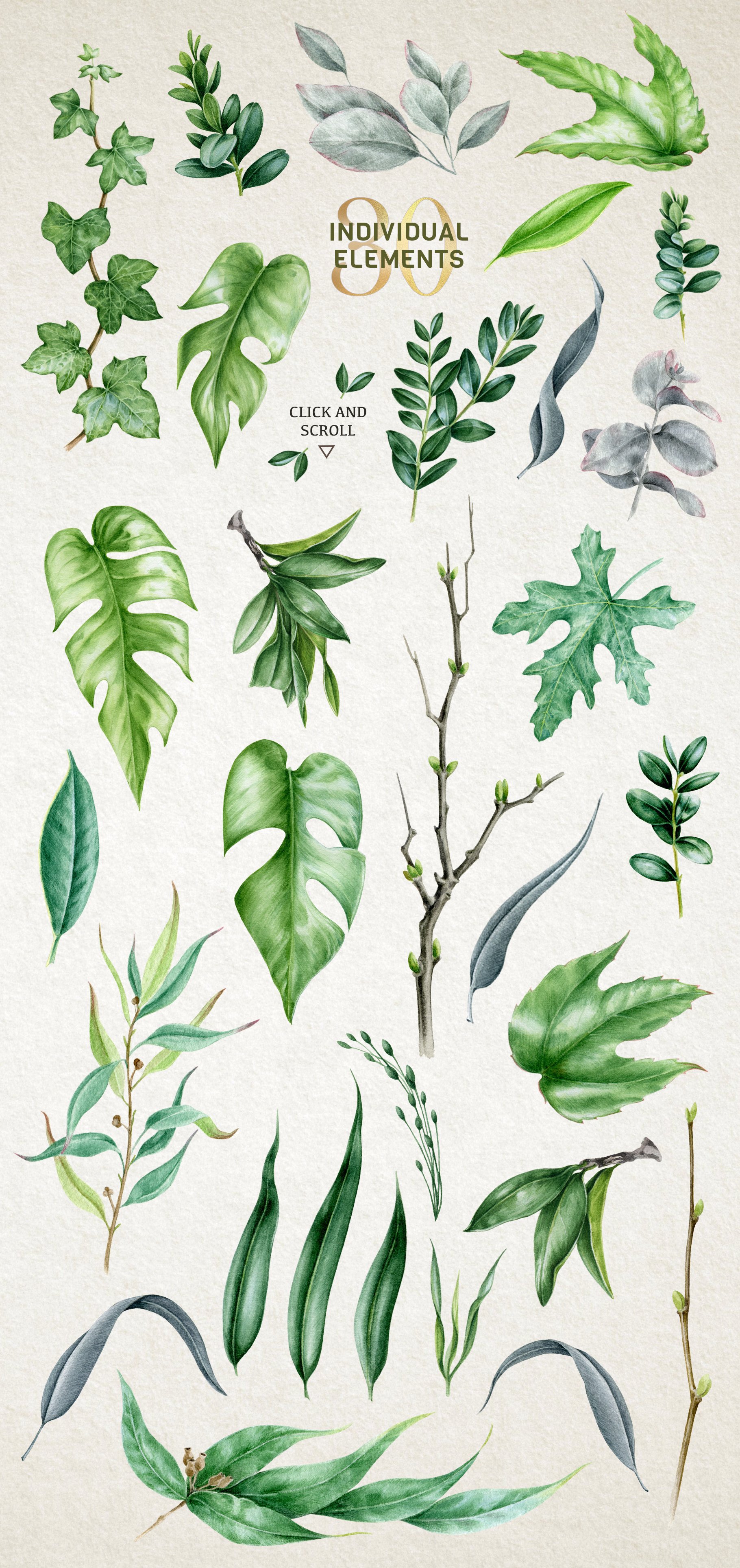 Midori  Green Leaf Watercolor Set preview image.