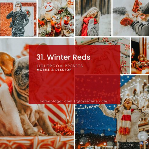 31. Winter Redscover image.