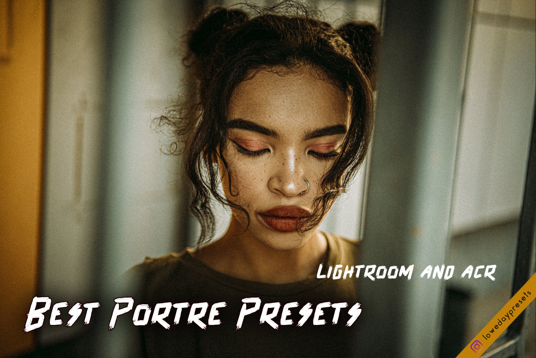 Loweday Portre Presets - LR and ACRcover image.