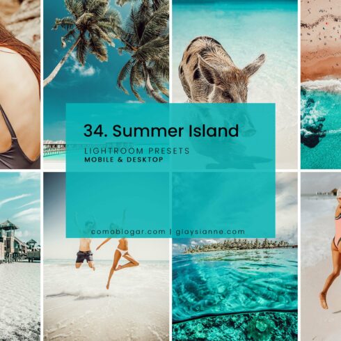 34. Summer Islandcover image.