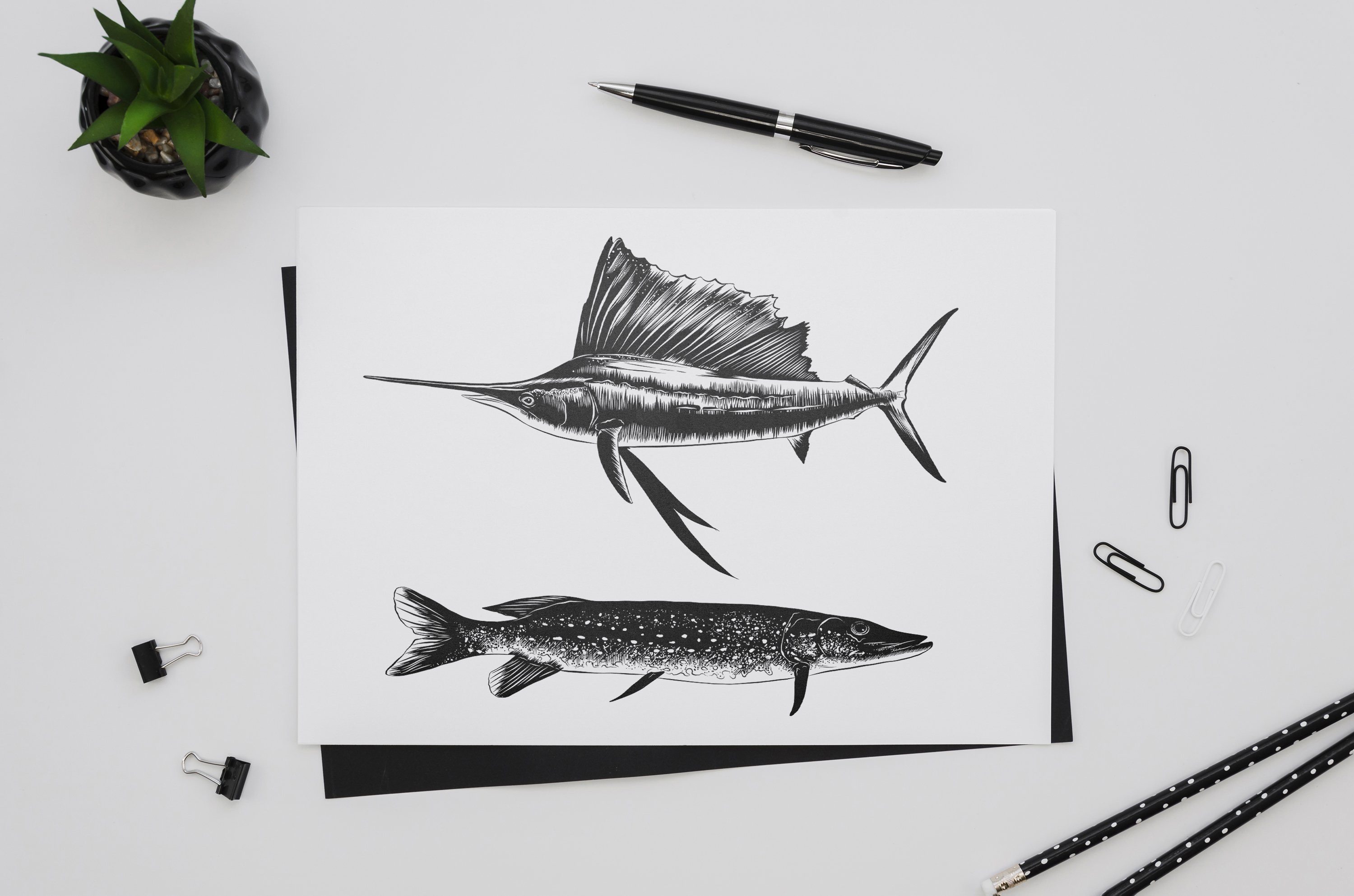 Drawing of two fish on a white surface.