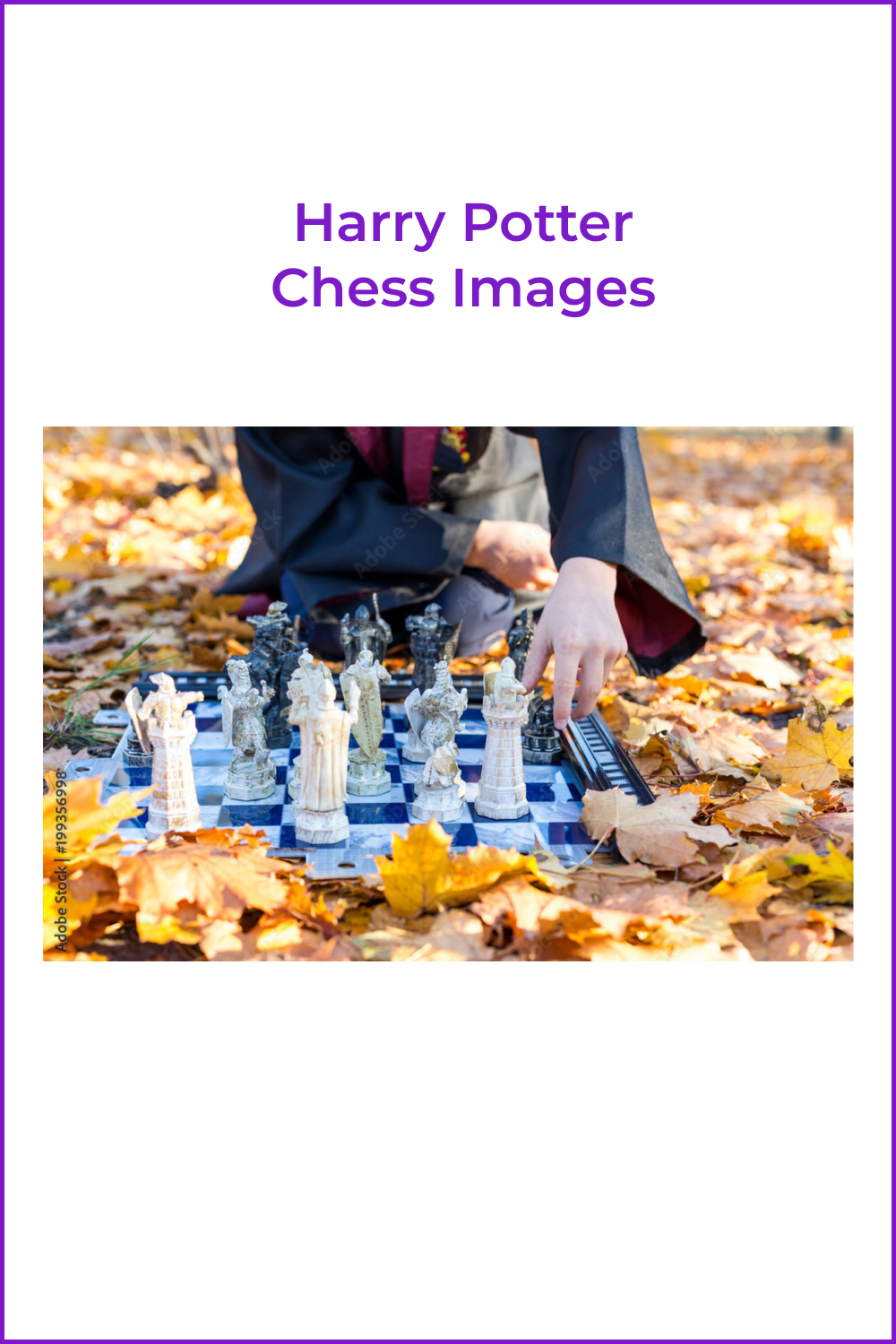 37 harry potter chess images 1