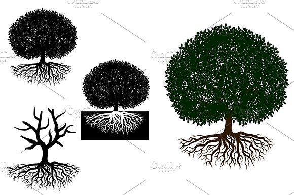 Four different trees with roots.