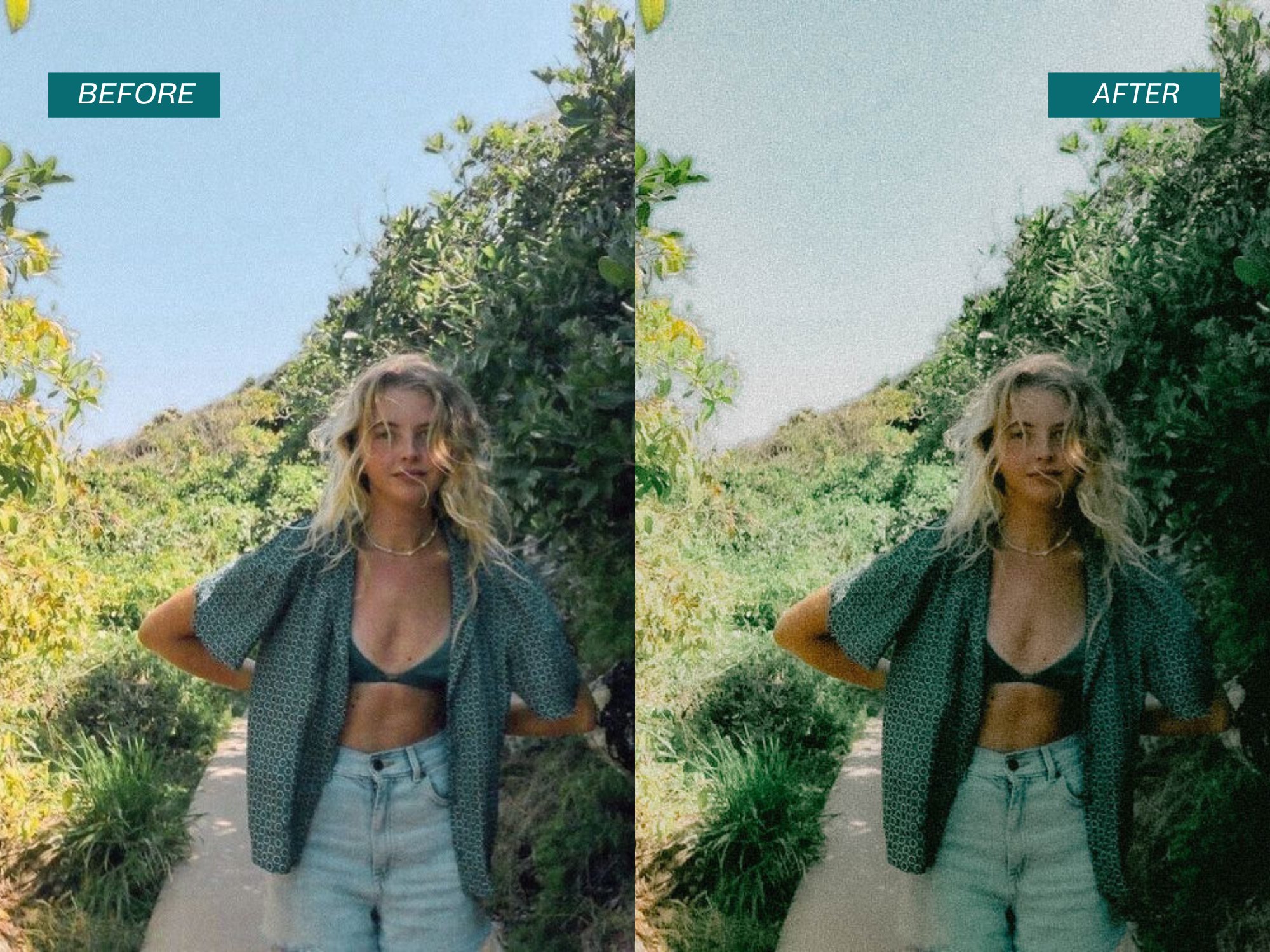 3kodak preset 812