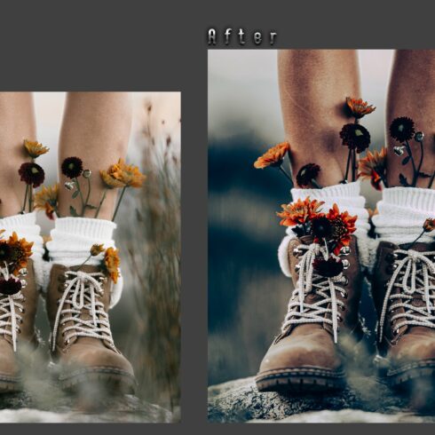 Lightroom Presets Mobile And Desktopcover image.