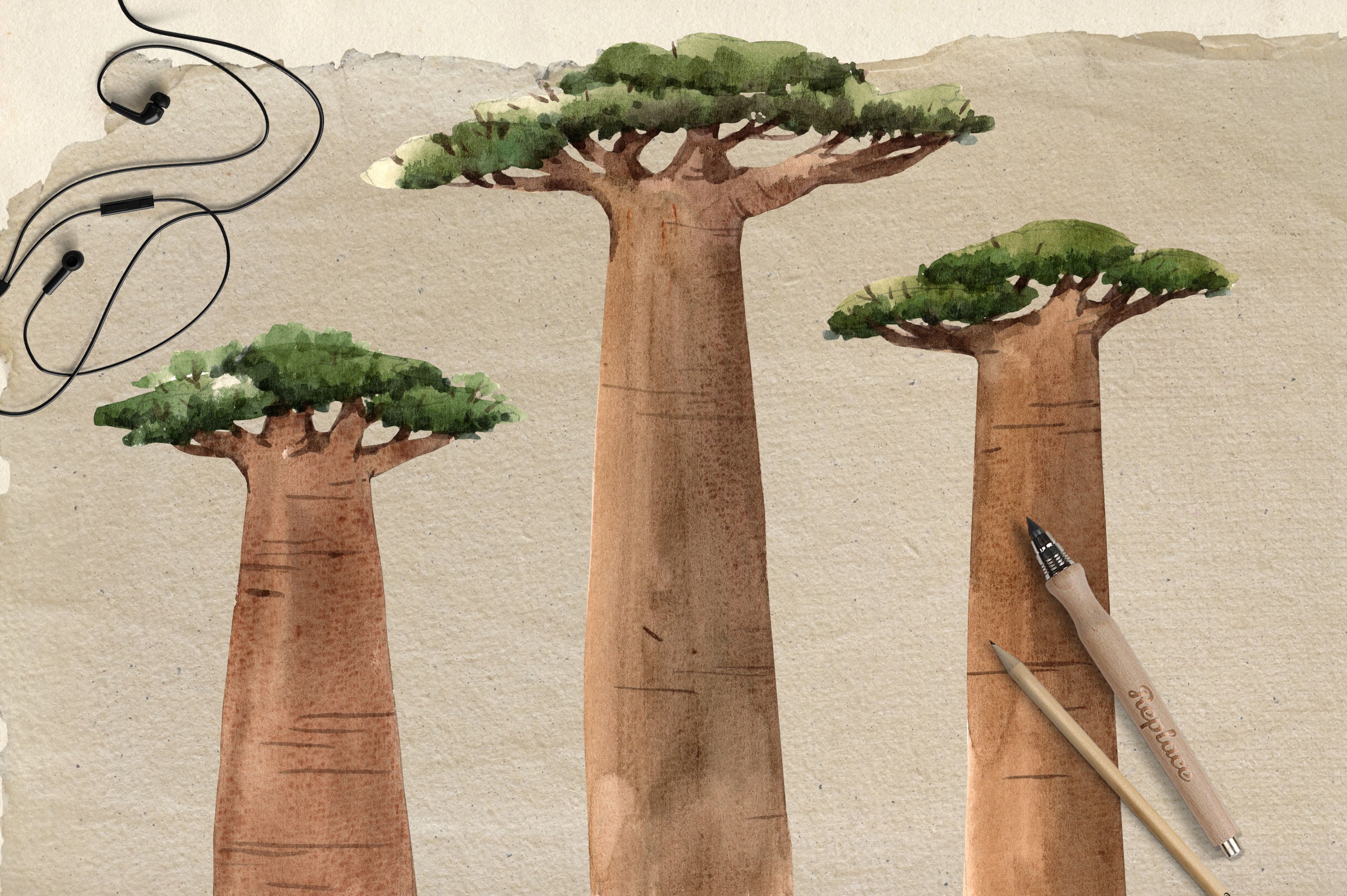 Drawing of a group of tall trees.