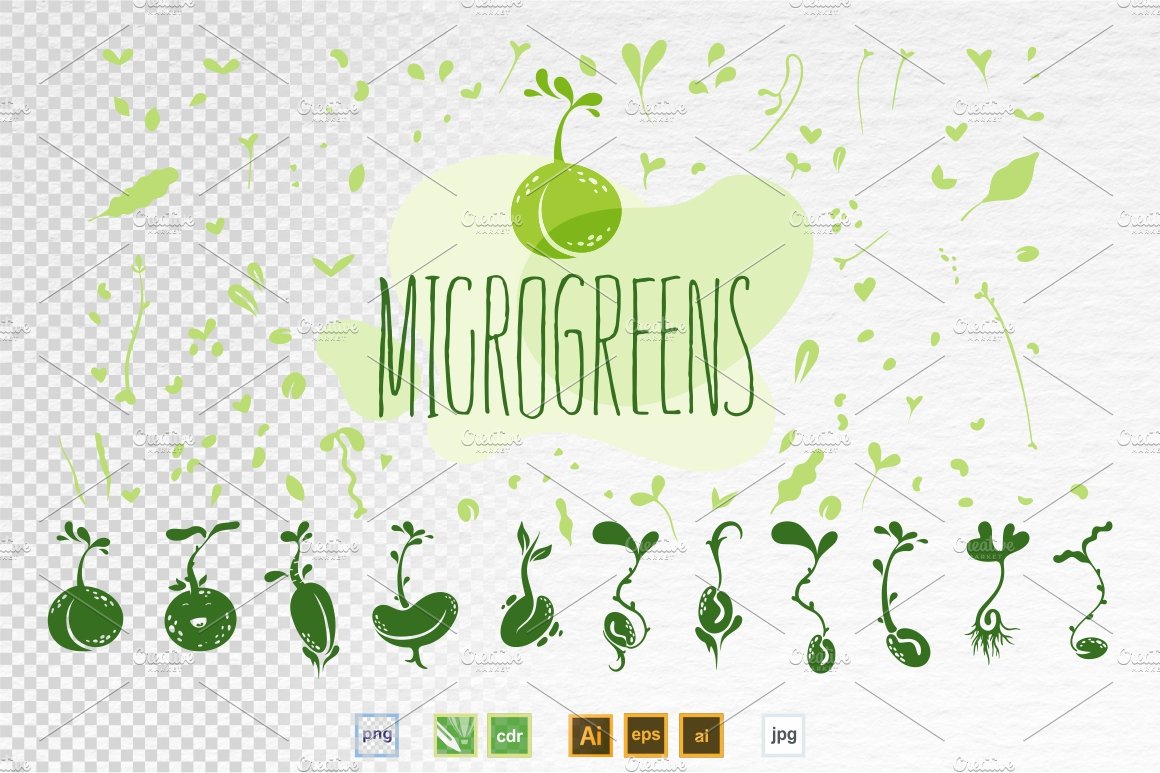 Green background with the words microgreens.