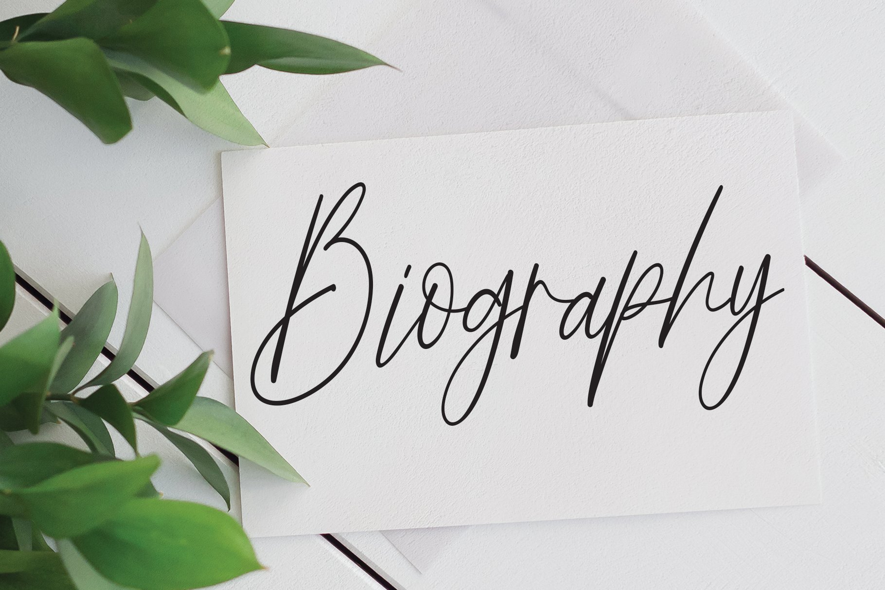 Butterfly Signature | Script Font preview image.