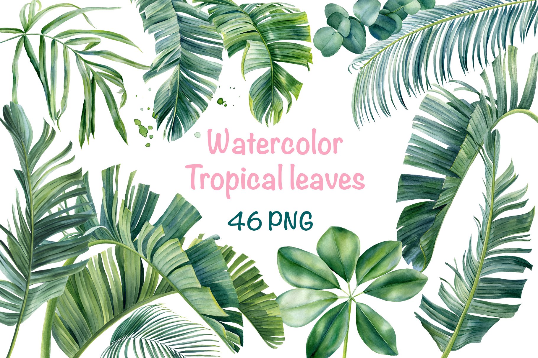 Watercolor Bundle tropical leaves cover image.