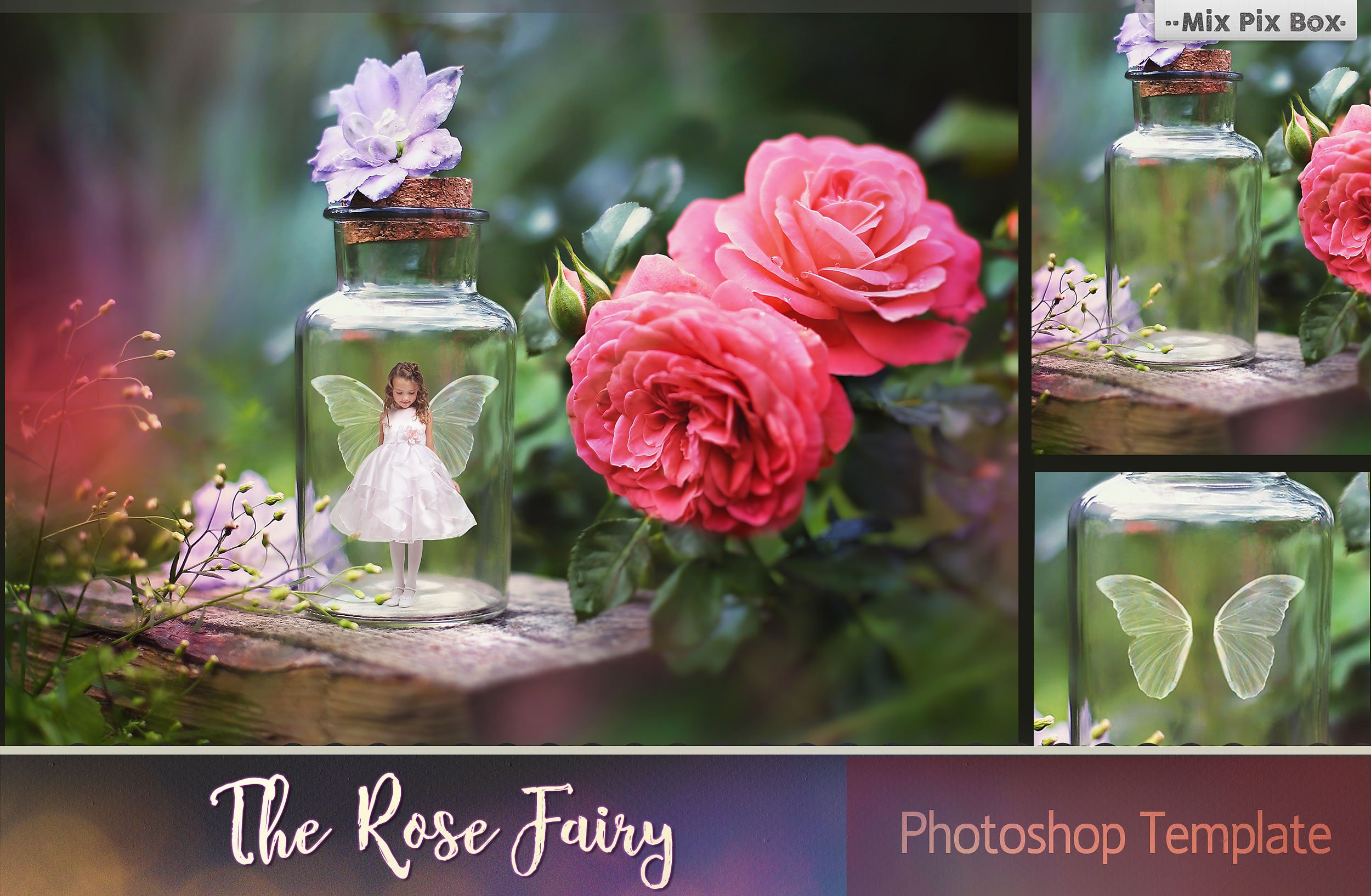 The Rose Fairy Templatecover image.