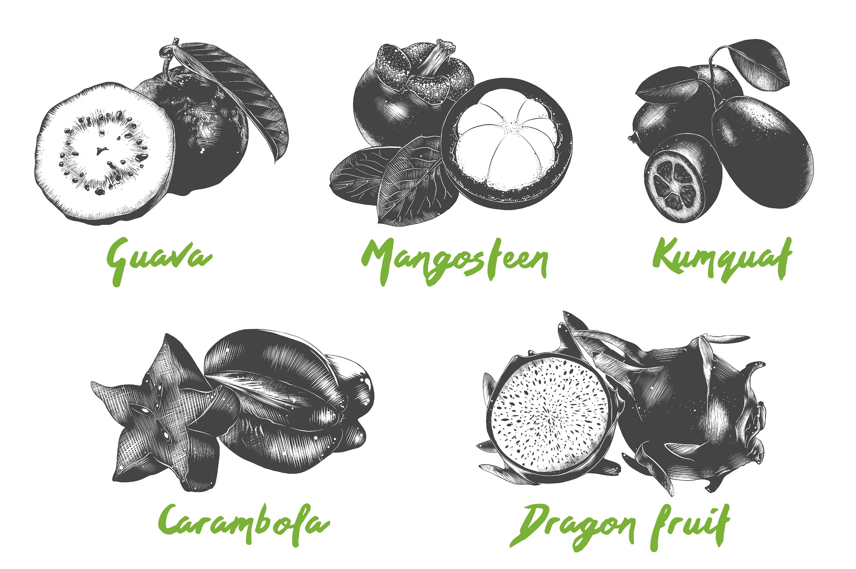 Bunch of different types of fruit on a white background.