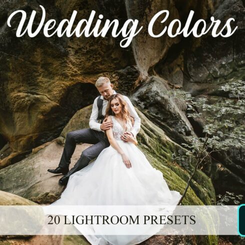 Lightroom Presets - Wedding Colorscover image.